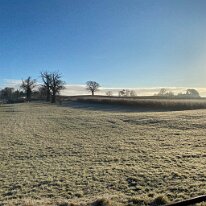 IMG_0428 A winter morning on Bellfountain Road.