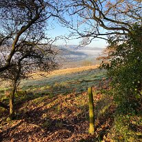 IMG_0369 Looking out from the Bluebell woods over the Glanusk Estate.
