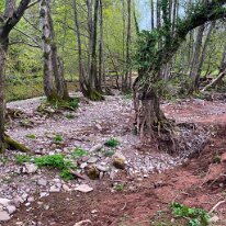 IMG_0639 This is what an angry river can do!