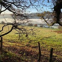 IMG_0368 View down to the river Usk from Bluebell woods.