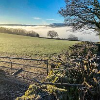 IMG 0429-Edit  A winter morning on Bellfountain Road.