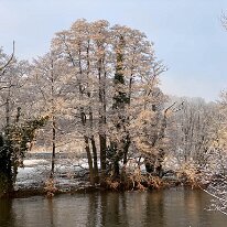IMG 0487  Wintery trees upstream of the bridge.