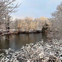 IMG 0488  Wintery trees upstream of the bridge.